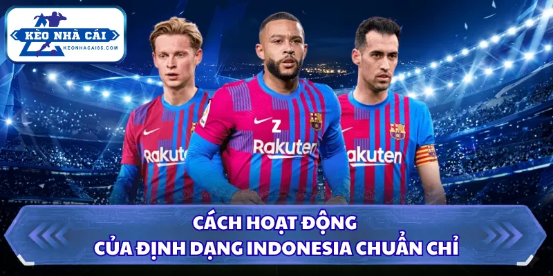 Cách Đọc Tỷ Lệ Cược - Nhận Biết Biến Động Cực Chuẩn 2 Cách hoạt động của định dạng Indonesia chuẩn chỉ