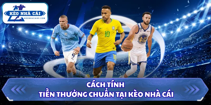 Kèo 3.5/4 Là Gì? Cách Đọc Kèo Cực Chuẩn Từ Cao Thủ 2026 2 Cách tính tiền thưởng chuẩn tại Kèo Nhà Cái