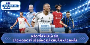 Kèo Tài Xỉu Là Gì? Cách Đọc Tỷ Lệ Bóng Đá Chuẩn Xác Nhất 8 kèo tài xỉu là gì