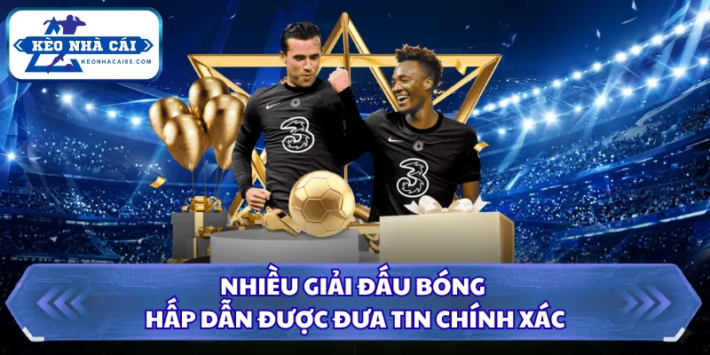 Nhiều giải đấu bóng hấp dẫn được đưa tin chính xác