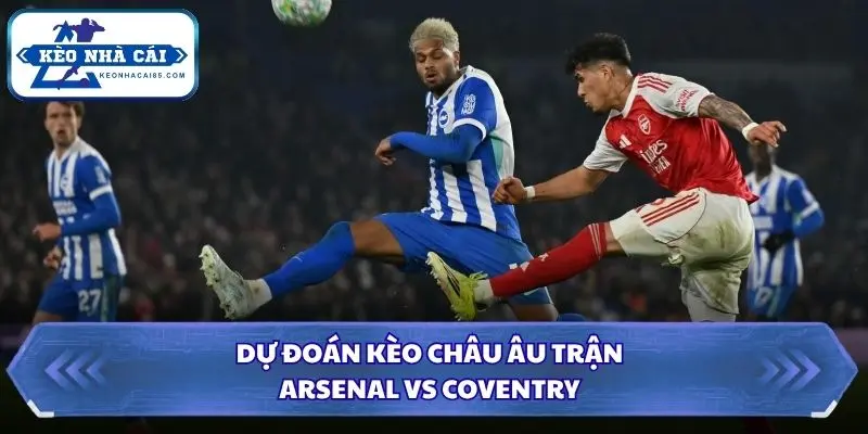 Soi Kèo Nhà Cái Arsenal vs Coventry Lúc 02H00 Ngày 22/08 - NHA 3 Dự đoán kèo châu Âu trận Arsenal vs Coventry